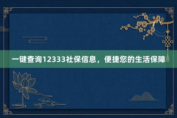 一键查询12333社保信息，便捷您的生活保障